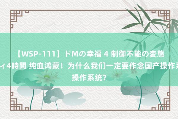 【WSP-111】ドMの幸福 4 制御不能の変態ボディ4時間 纯血鸿蒙！为什么我们一定要作念国产操作系统？