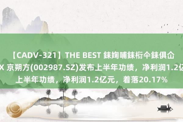 【CADV-321】THE BEST 銇婅哺銇椼仐銇俱仚銆?50浜?鏅傞枔DX 京朔方(002987.SZ)发布上半年功绩，净利润1.2亿元，着落20.17%