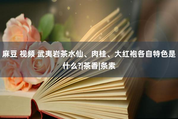 麻豆 视频 武夷岩茶水仙、肉桂、大红袍各自特色是什么?|茶香|条索