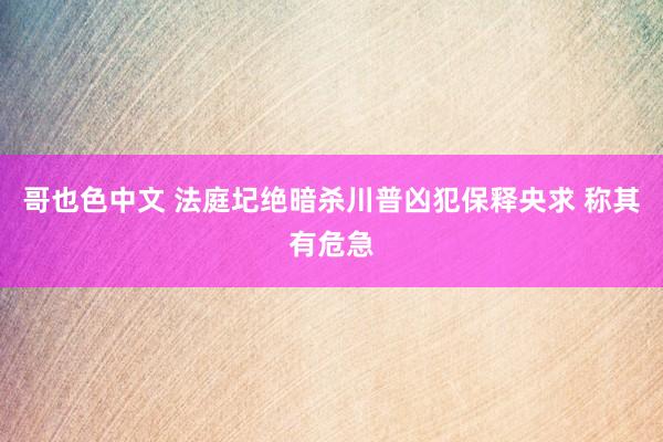 哥也色中文 法庭圮绝暗杀川普凶犯保释央求 称其有危急